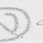 Structure of IGF-1 CAS 67763-96-6