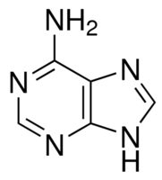 structure of Adenine CAS 73-24-5