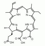 Structure of Chlorin E6 CAS 19660-77-6