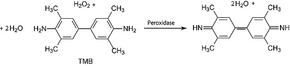 Structure of Tetramethylbenzidine CAS 54827-17-7