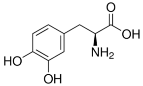 Structure of Levodopa CAS 59-92-7