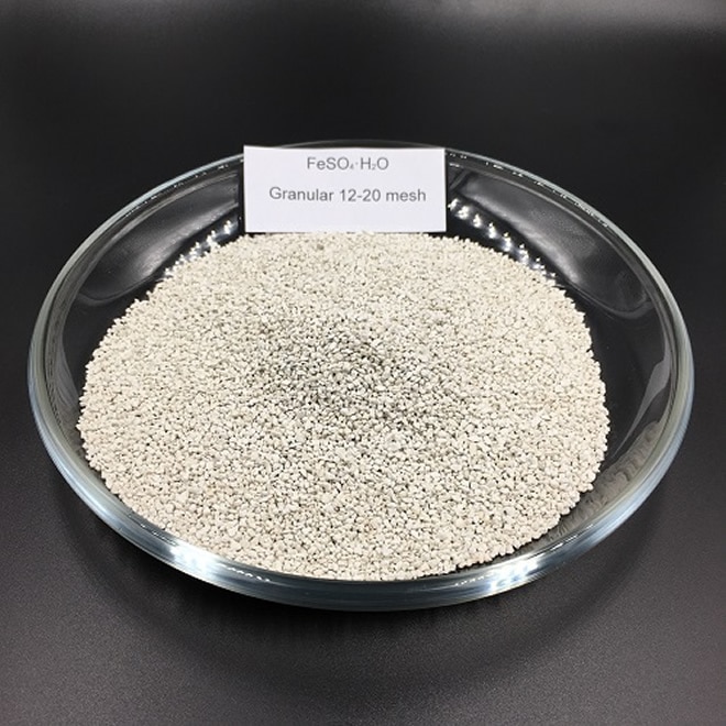 12-20Mesh of Ferrous Sulphate Monohydrate CAS 17375-41-6