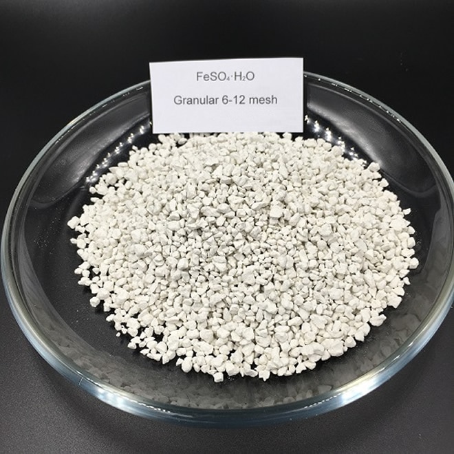 6-12Mesh of Ferrous Sulphate Monohydrate CAS 17375-41-6