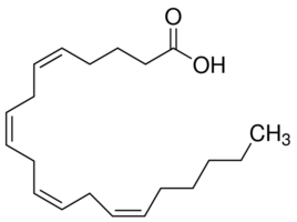 Structure of Arachidonicacid CAS 506-32-1