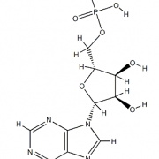 Structure of Polyadenosinic acid potassium salt CAS 26763-19-9