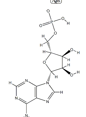 Structure of Polyadenosinic acid potassium salt CAS 26763-19-9