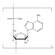 Structure of Polyadenosinic acid sodium salt CAS NNA-0009
