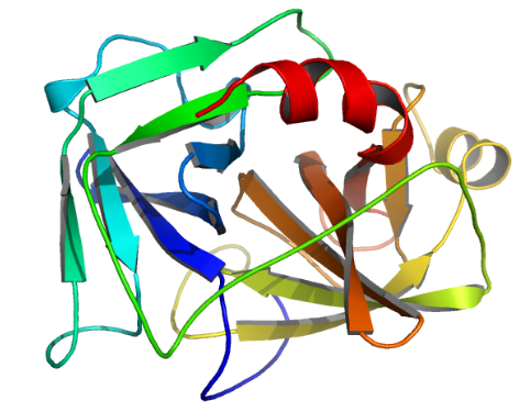 Structure of Recombinant Enterokinase EC 3.4.21.9 CAS 9017-74-8