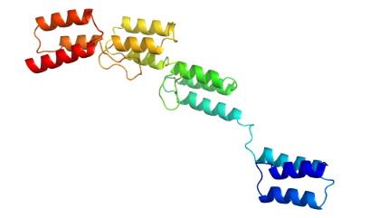 Structure of Recombinant Protein A CAS 91932-65-9