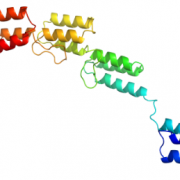 Structure of Recombinant Protein G CAS UENA-0187