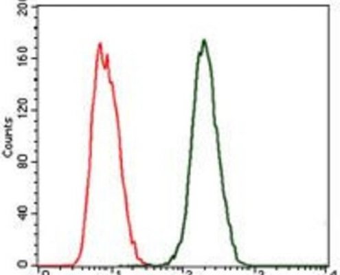Anti-C-Reactive-Protein-CRP-Antibody-in-flow