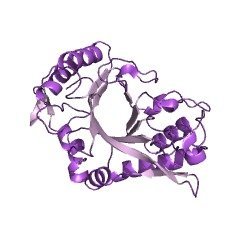 Structure of Endo-beta-N-acetylglucosaminidase A; Endo-A CAS 37278-88-9 EC 3.2.1.96