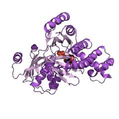 Structure of Galactokinase; BiGalK CAS 9030-53-9 EC 2.7.1.6