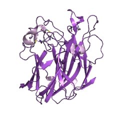 Structure of Glycopeptidase; PNGaseF CAS 83534-39-8 EC 3.5.1.52
