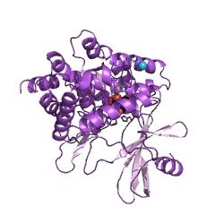 Structure of N-acetylhexosamine 1-kinase EC 2.7.1.162