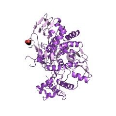 Structure of UTP-monosaccharide-1-phosphate uridylyltransferase EC# 2.7.7.64