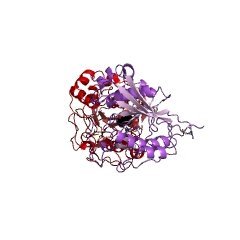 Structure of beta1, 4-galactosyltransferase; LgtB CAS 9054-94-8 EC 2.4.1.90