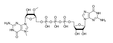Structure of ARCA Cap Analog CAS 400806-46-4