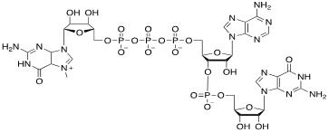 Structure of m7Gppp CAS UENA-0198