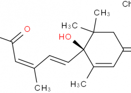 Structure of (+)-Abscisic acid CAS 21293-29-8