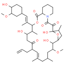 Structure of Desmethyl Tacrolimus CAS 132172-14-6