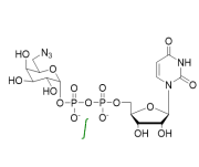 Structure of UDP-6-azido-6-deoxy-D-Gal.2Na CAS 868208-96-2