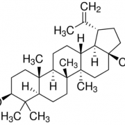 Structure of Fagarsterol CAS 545-47-1