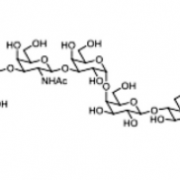 Structure of Globo-H CAS 77538-31-9