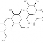 Structure of Globo-N-tetraose CAS 75660-79-6