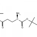 Structure of H-D-GLU(OTBU)-OTBU HCL CAS 172793-31-6