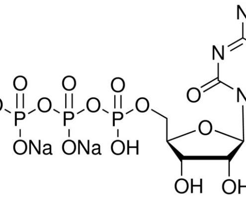 Structure of Cytidine 5'-triphosphate disodium salt CAS 36051-68-0(81012-87-5, 652154-13-7)
