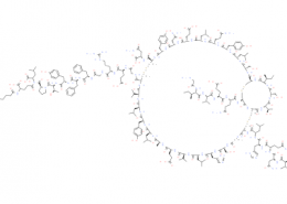 Structure of Insulin degludec CAS 844439-96-9