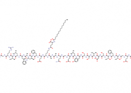 Structure of LiraglutideAcetate CAS 204656-20-2