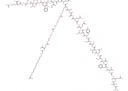 Structure of Sermaglutide CAS 910463-68-2