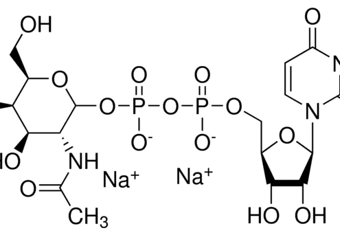 Structure of UDP-GalNAc.2Na CAS 108320-87-2(7277-98-7)