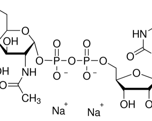 Structure of UDP-N-acetylglucosamine CAS 91183-98-1