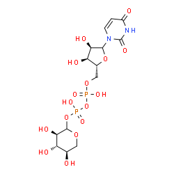 Structure of UDP-Xyl.2Na CAS 108320-89-4(3616-06-6)