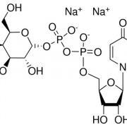 Structure of Uridine 5'-diphospho-D-galactose disodium salt CAS 137868-52-1(2956-16-3)