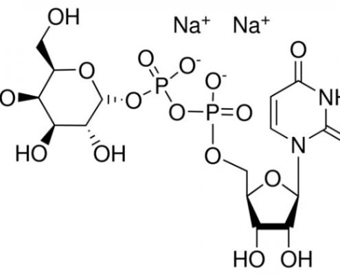 Structure of Uridine 5'-diphospho-D-galactose disodium salt CAS 137868-52-1(2956-16-3)
