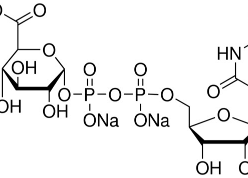 Structure of Uridine 5'-diphospho-glucuronic acid trisodium salt CAS 63700-19-6