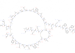 Structure of rh Insulin CAS 11061-68-0