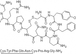 Structure of Vasopressin CAS 11000-17-2