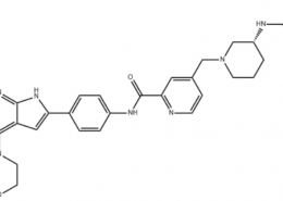 Structure of BMF-219 CAS 2448172-22-1