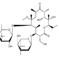 Structure of Clarithromycin Impurity A CAS 124412-58-4