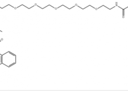 Structure of NSP-DMAE-HEG-Glu-NHS CAS 1253933-74-2