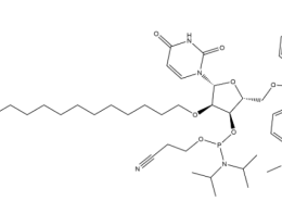 structure of DMTr-2'-O-C16-rU-3'-CE-Phosphoramidite CAS 2382942-83-6
