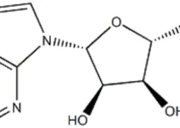 Purine-Nucleoside v (PNP) CAS 9030-21-1