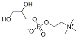 Structure of L-A-GLYCERYLPHOSPHORYLCHOLINE(GPC) CAS 4217-84-9