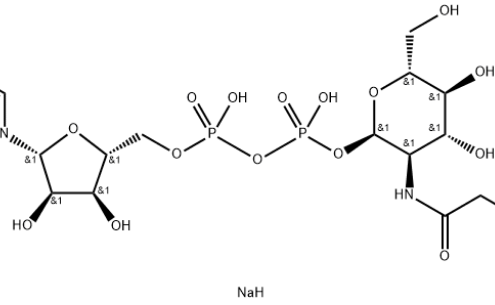 Structure of UDP-GlcNAz.2Na CAS 1611490-64-2