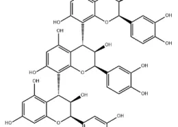Structure of Procyanidin C1 CAS 37064-30-5